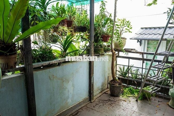 Cho thuê nhà hẻm Nhiêu Tâm gần chợ Hòa Bình, 100 m2