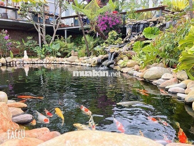 Định cư nước ngoài bán lỗ gấp lô 322m2 giá 689triệu sẵn nhà Phường 11