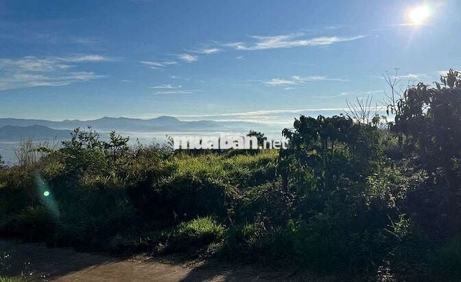 Chủ kẹt tiền cần bán mảnh đất view sông đẹp xã Tân Nghĩa, Lâm Đồng.