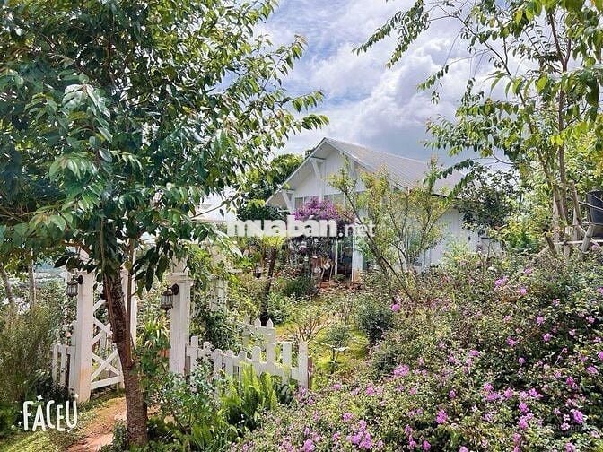 Định cư nước ngoài bán lỗ gấp lô 322m2 giá 689triệu sẵn nhà Phường 11