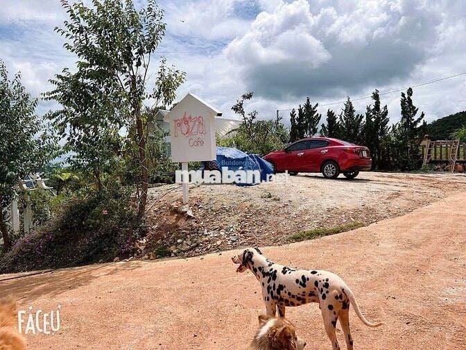 Định cư nước ngoài bán lỗ gấp lô 322m2 giá 689triệu sẵn nhà Phường 11