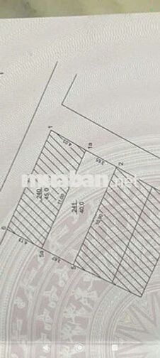 NHÀ ĐẸP MẬU LƯƠNG – ĐA SỸ – HÀ ĐÔNG, GIÁ CHỈ 7 TỶ!