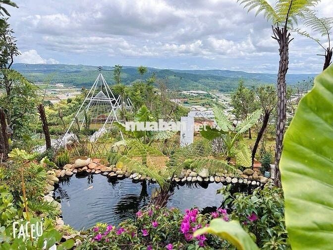 Định cư nước ngoài bán lỗ gấp lô 322m2 giá 689triệu sẵn nhà Phường 11