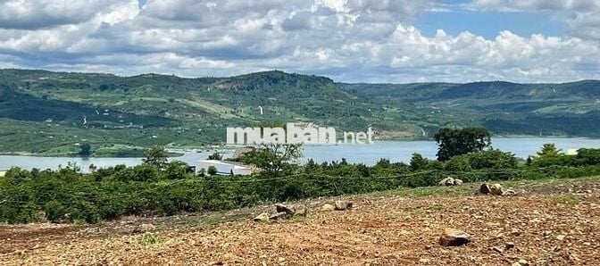 Chủ kẹt tiền cần bán mảnh đất view sông đẹp xã Tân Nghĩa, Lâm Đồng.