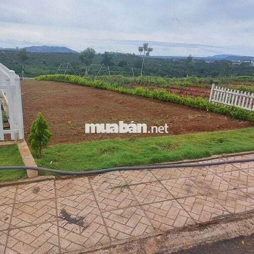 Bán gấp lô đất nền gần quốc lộ 20, Lâm Đồng