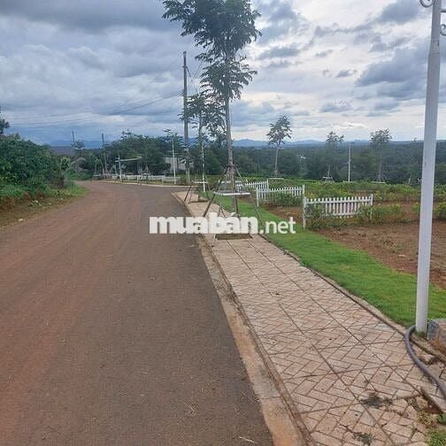 Bán gấp lô đất nền gần quốc lộ 20, Lâm Đồng
