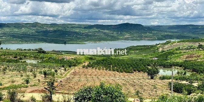 Chủ kẹt tiền cần bán mảnh đất view sông đẹp xã Tân Nghĩa, Lâm Đồng.