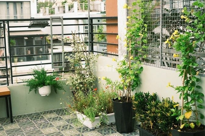 🌿 CHO THUÊ PHÒNG TRỌ TẠI TRUNG TÂM QUẬN 3