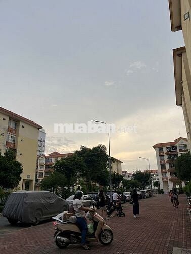 Cần cho thuê căn hộ CC ngay Thành Thái, Q.10 - DT: 65m2. Giá 13 triệu