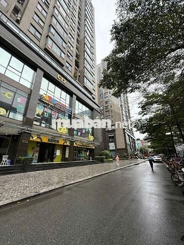 Bán CH toà CT2 CC Park View, số 3 Vũ Phạm Hàm,121m2,3N,2WC,giá14.65 tỷ