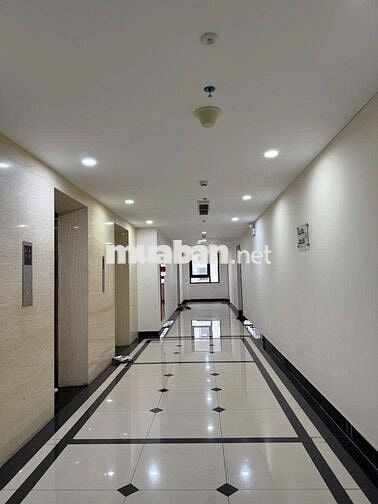Bán CH toà CT2 CC Park View, số 3 Vũ Phạm Hàm,121m2,3N,2WC,giá14.65 tỷ