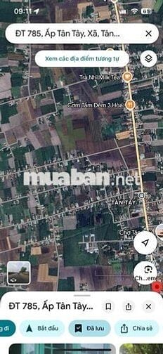 Đất ONT 869m2 Ấp Tân Tây Xã Tân Hưng Huyện Tân Châu Tây Ninh