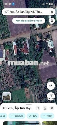 Đất ONT 869m2 Ấp Tân Tây Xã Tân Hưng Huyện Tân Châu Tây Ninh