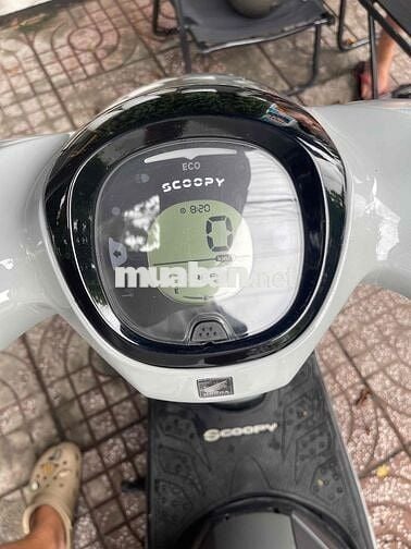 Bán Scopy 2025 bản đặc biệt mới 99.9%