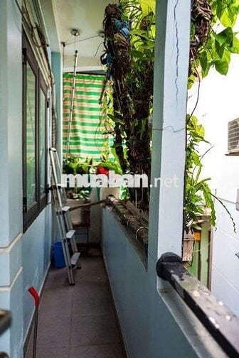 CHO THUÊ NHÀ TRẦN HƯNG ĐẠO GẦN NHIÊU TÂM  P5 Q5