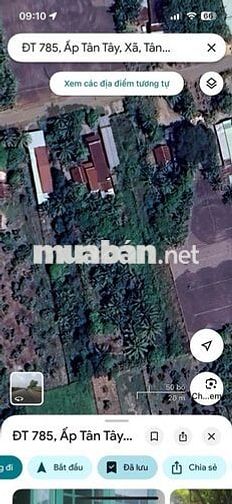 Đất ONT 869m2 Ấp Tân Tây Xã Tân Hưng Huyện Tân Châu Tây Ninh