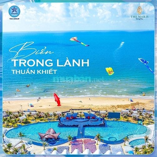 Thức giấc giữa thiên nhiên – chạm vào an nhiên tại The Maris