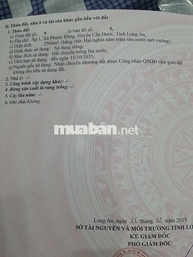 BAN ĐAT 2 MAT TIEN GTNT...2 OTO TRANH NHAU.