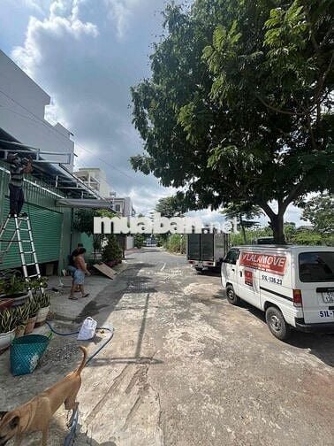 🌳 MẶT TIỀN NỘI BỘ 12M – ĐƯỜNG 3359 PHẠM THẾ HIỂN, P7, Q8