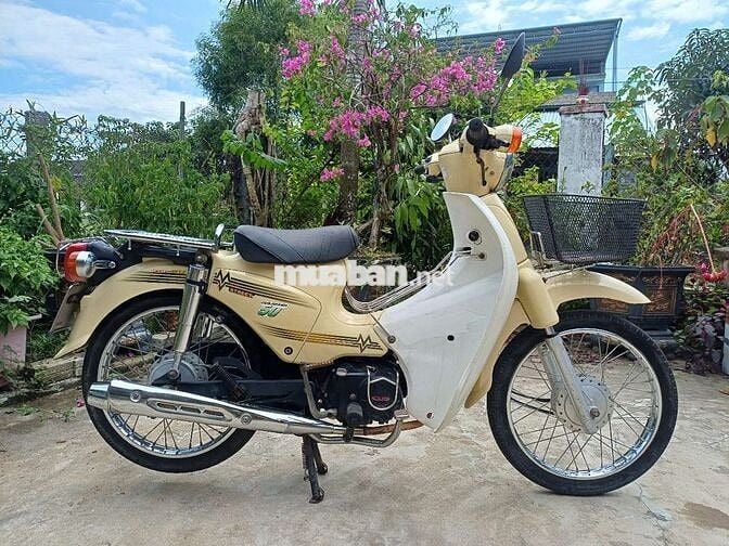 Cup Halim 50cc không cần bằng lái