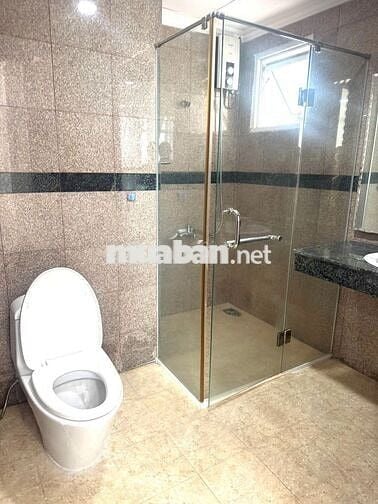Bán căn hộ Penthouse Giai Việt Hoàng Anh 856 Tạ Quang Bửu, P5,Q8