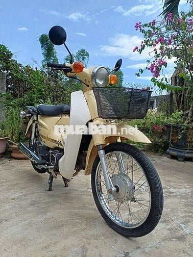 Cup Halim 50cc không cần bằng lái