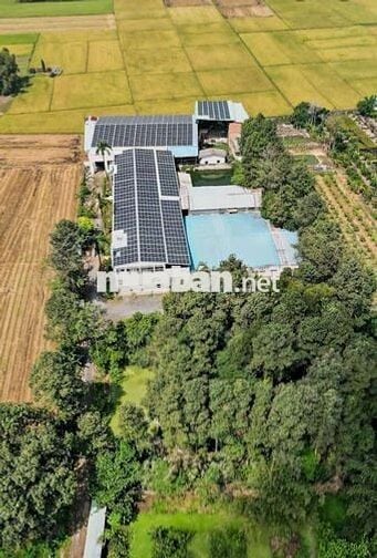 Cho thuê Xưởng sản xuất đa ngành 2500 m2 Củ Chi