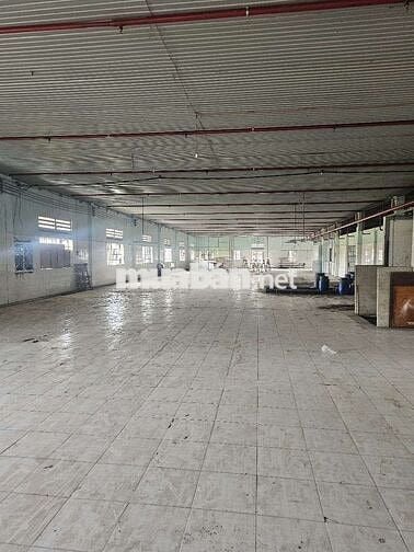 Cho thuê Xưởng sản xuất đa ngành 2500 m2 Củ Chi