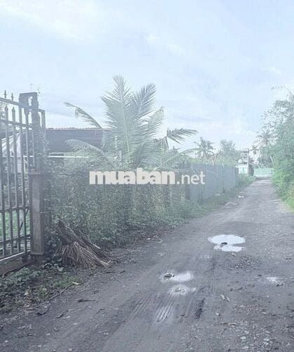 Cần bán gấp mảng đất 3 mặt tiền view sông, giá chỉ 15tr/m2