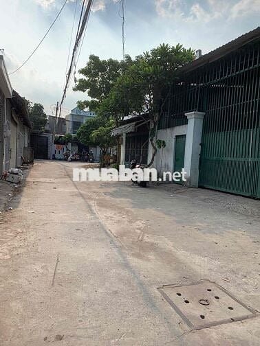 Mặt bằng kinh doanh 300m2 Đường Tân Hiệp 29, xã Tân Hiệp, Hóc Môn