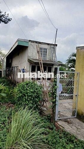 Nhà nát mặt tiền Huỳnh Thị Mài-Tân Hiệp-Hóc Môn.Dt 4x28,5~114m2~3,5ty