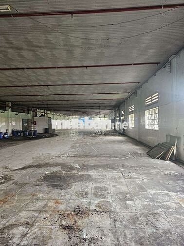 Cho thuê Xưởng sản xuất đa ngành 2500 m2 Củ Chi