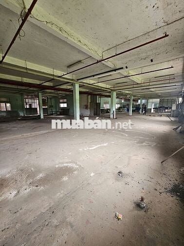 Cho thuê kho xưởng 2.500m2 xã Thái Mỹ, Củ Chi, PCCC tự động thẩm duyệt