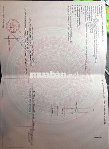 Bán dãy trọ sổ sẵn gần cty chợ trường Mỹ Phước 3 Bến Cát Bình Dương