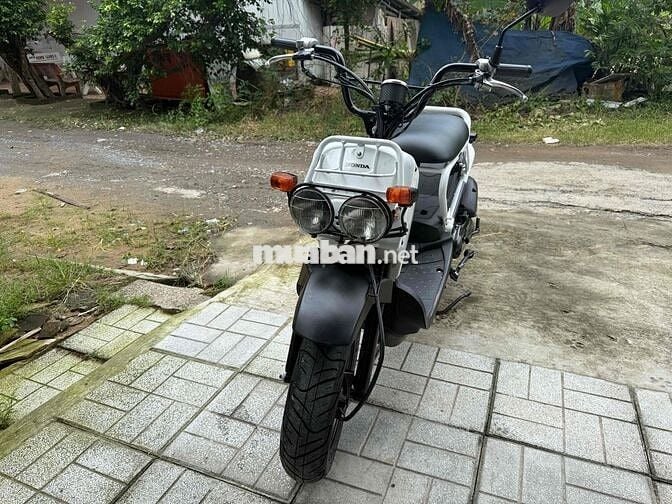 Honda Zoomer 50cc  mười mấy triệu