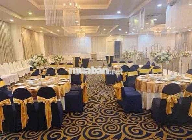 Mặt tiền Kinh Doanh 1 trệt 2 Lầu 20x40 tổng 2400m2