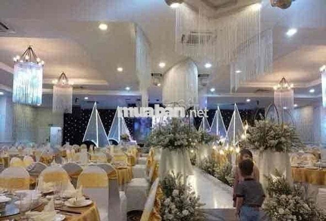 Mặt tiền Kinh Doanh 1 trệt 2 Lầu 20x40 tổng 2400m2