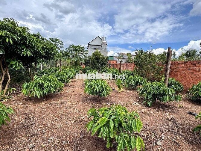 Đất Xã Hoà Khánh 3 Lô Liền Kề Giá Tốt