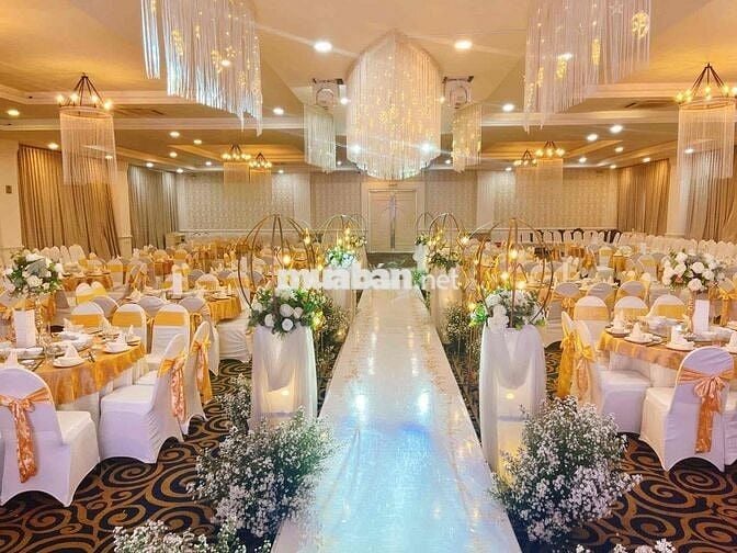 Mặt tiền Kinh Doanh 1 trệt 2 Lầu 20x40 tổng 2400m2