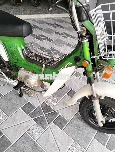 Honda Chaly 50 máy cực êm ở chùa Thới Sơn,T. Biên