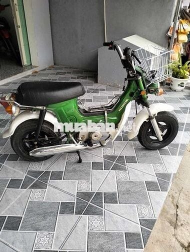 Honda Chaly 50 máy cực êm ở chùa Thới Sơn,T. Biên