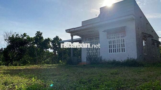 BÁN ĐẤT SÀO CÓ 200M THỔ TẶNG NHÀ KIÊN CỐ,CẨM MỸ ĐỒNG NAI