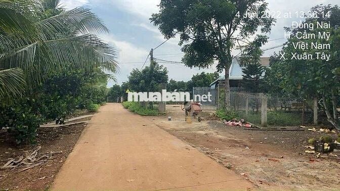 BÁN ĐẤT SÀO CÓ 200M THỔ TẶNG NHÀ KIÊN CỐ,CẨM MỸ ĐỒNG NAI