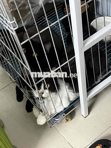 mình tìm rommate nữ Bình Thạnh ạ