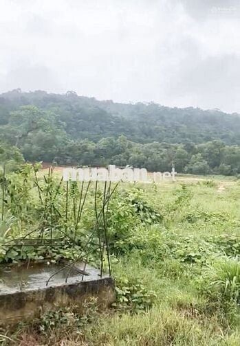 BÁN GẤP 827m2 ĐẤT SẴN SỔ MẶT TIỀN TRUNG TÂM SUỐI LỚN-DƯƠNG TƠ-PHÚ QUỐC