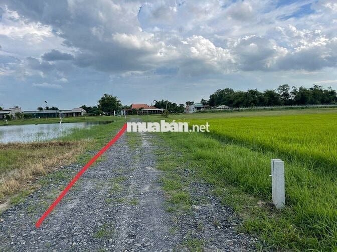 KẸT TIỀN CẮT 1 PHẦN ĐẤT VƯỜN BÁN