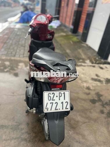 visson zin đẹp ngon