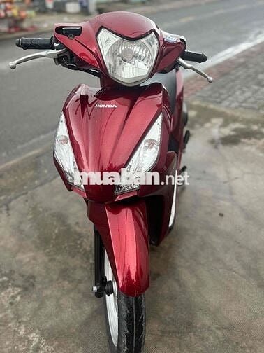 visson zin đẹp ngon