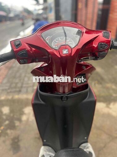 visson zin đẹp ngon