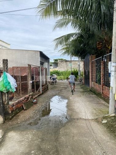 Đất trồng cây hằng năm quy hoạch đất ở Hẻm thông thoáng